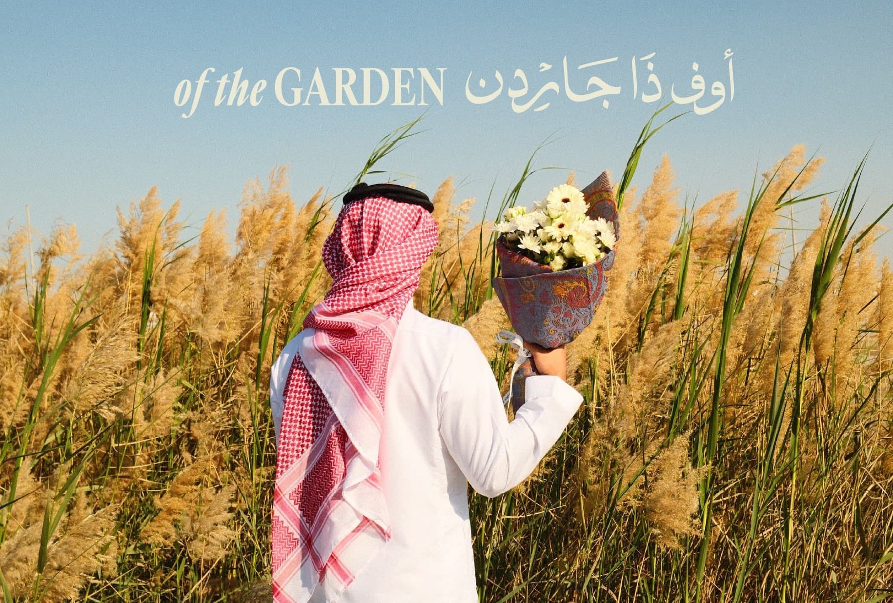 field