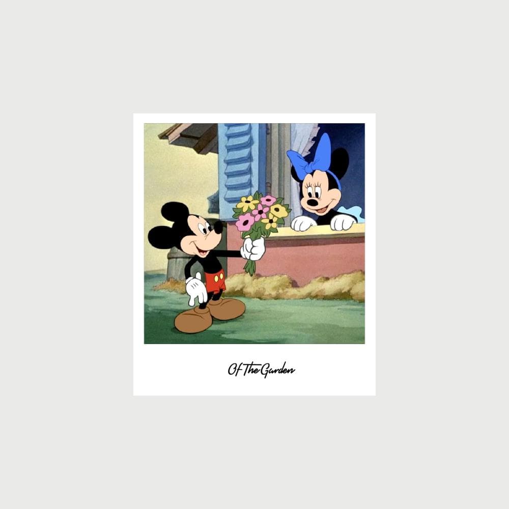 Mickey Card